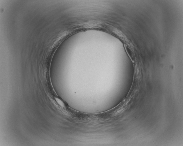 X0000070830201200607071750