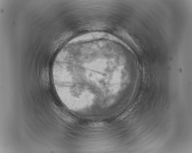 X0000070830202200607071750