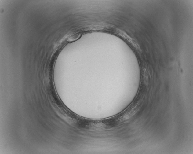 X0000070830203200607071750