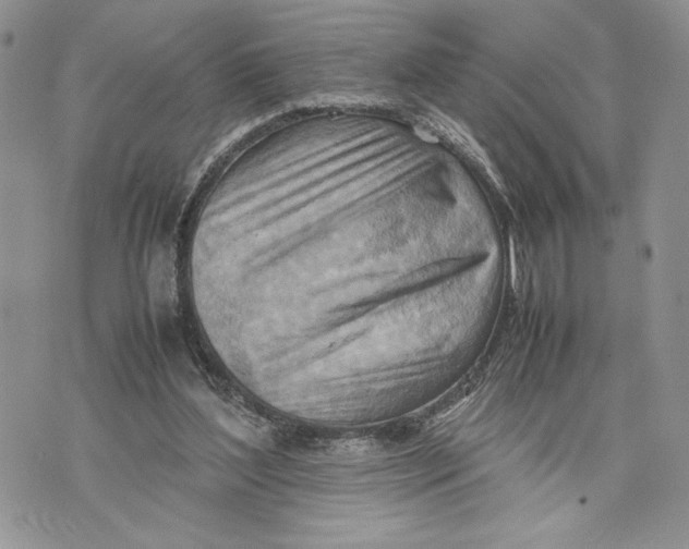 X0000070830204200607071750