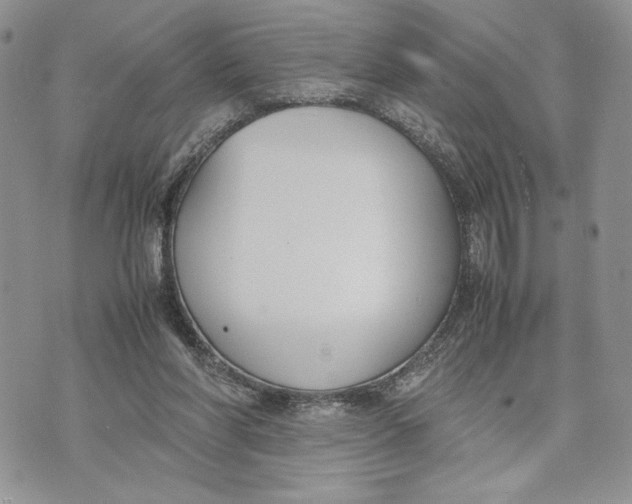 X0000070830206200607071750