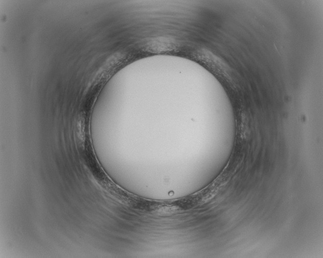 X0000070830210200607071750