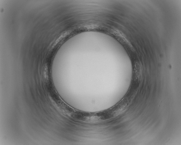 X0000070830212200607071750