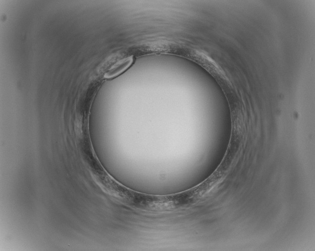 X0000070830213200607071750