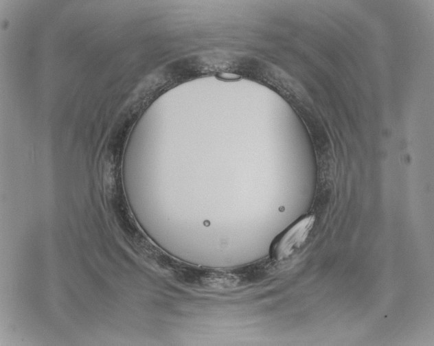 X0000070830215200607071750