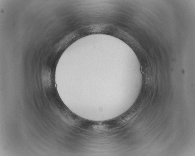 X0000070830216200607071750