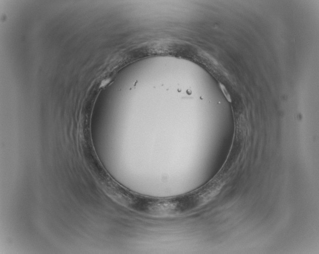 X0000070830217200607071750