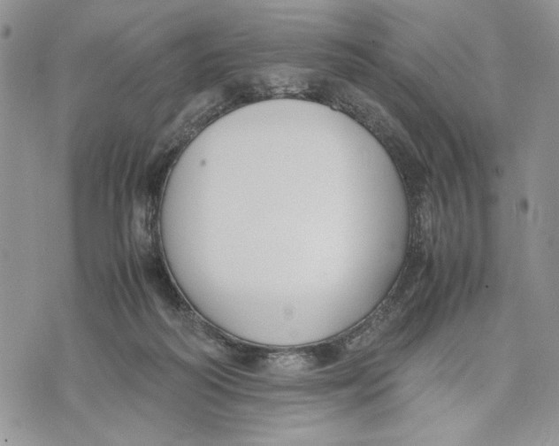 X0000070830218200607071750