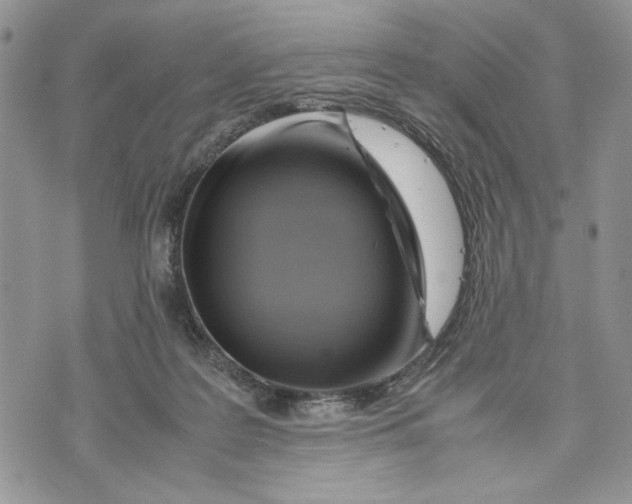 X0000070830219200607071750