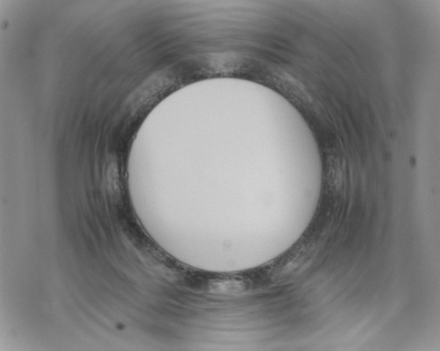 X0000070830220200607071750