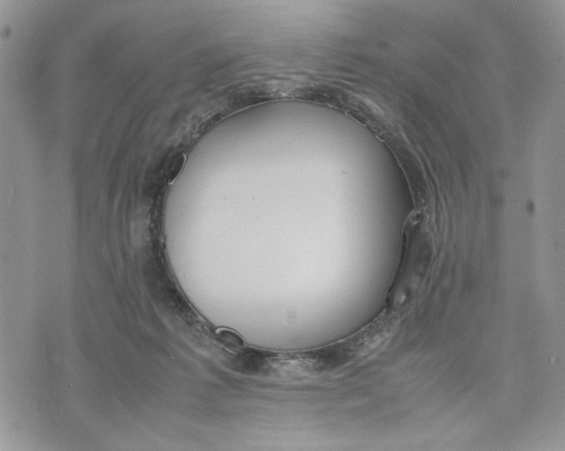 X0000070830221200607071750