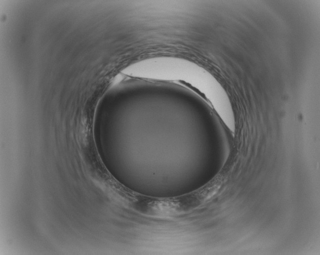 X0000070830223200607071750