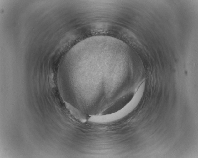 X0000070830224200607071750