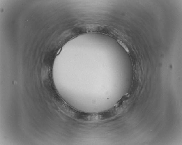 X0000070830225200607071749