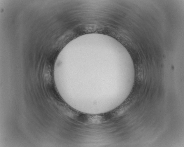 X0000070830226200607071749