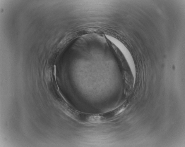 X0000070830227200607071749