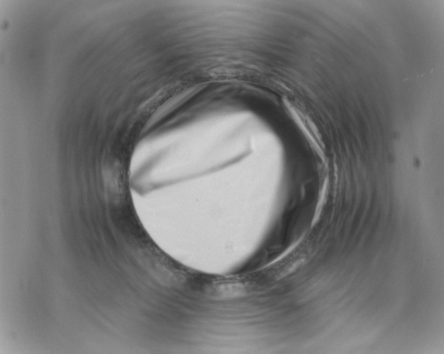 X0000070830228200607071749