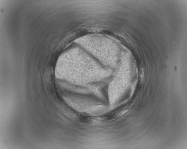 X0000070830229200607071749