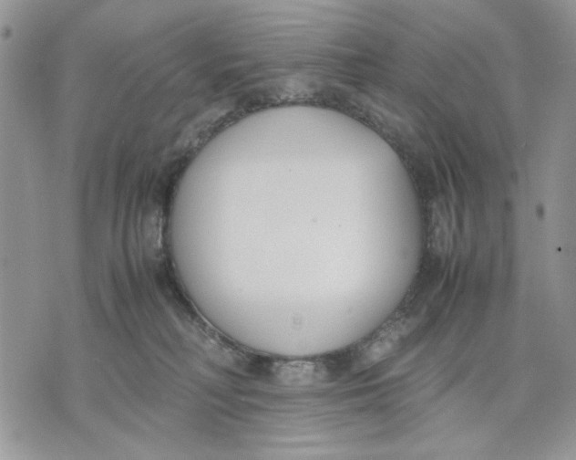 X0000070830230200607071749