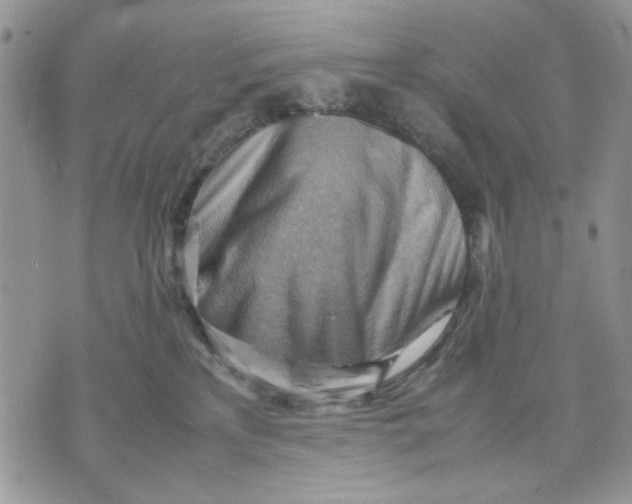 X0000070830233200607071749