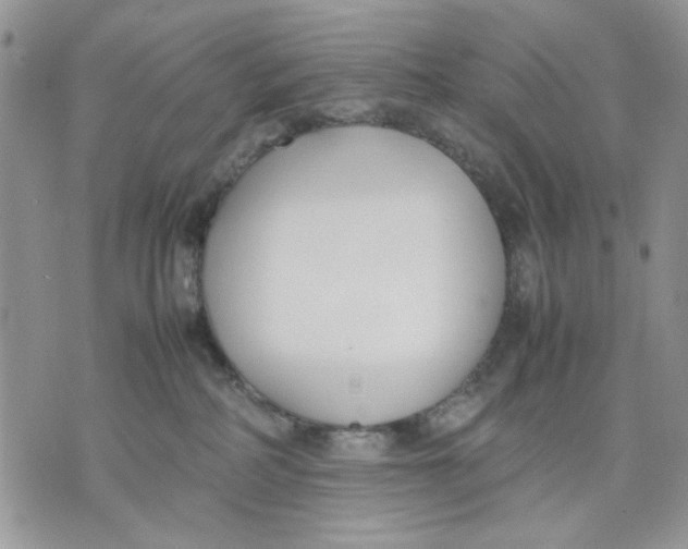 X0000070830234200607071749