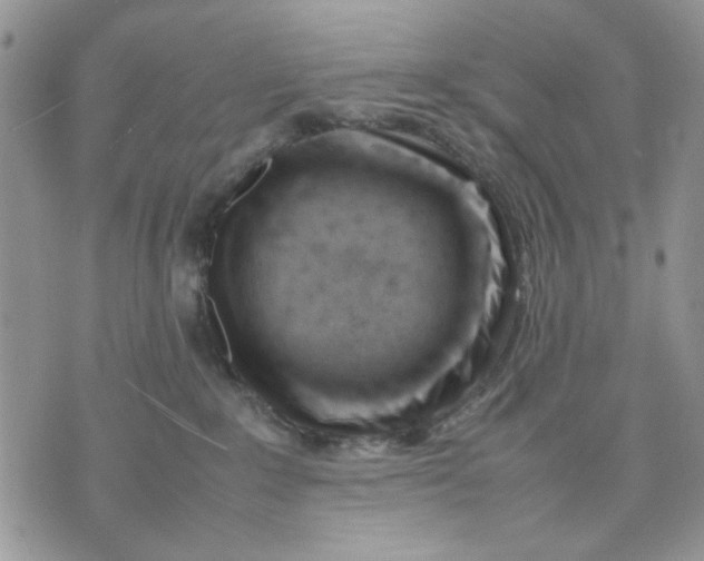 X0000070830235200607071749