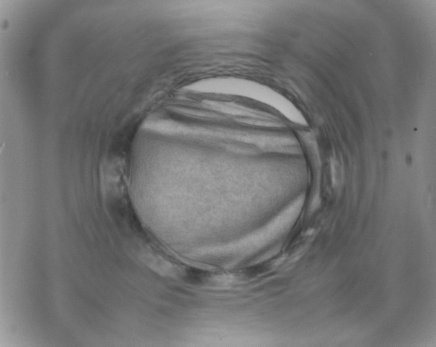 X0000070830237200607071749