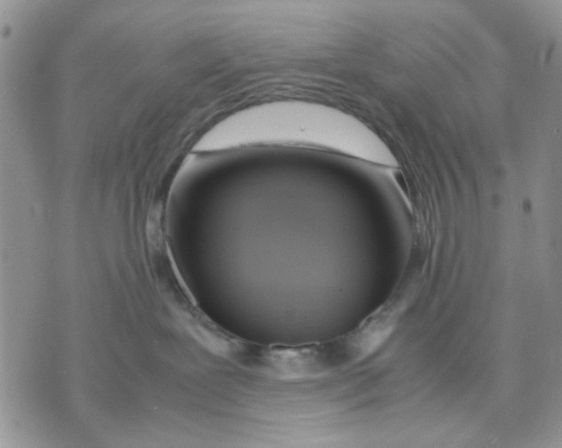 X0000070830239200607071749