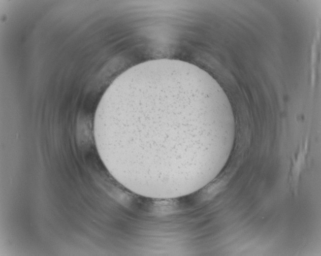 X0000070830240200607071749