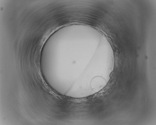 X0000070830241200607071748