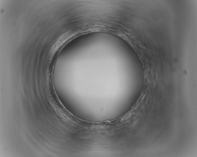 X0000070830242200607071748