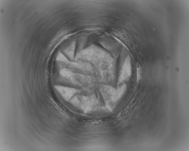 X0000070830243200607071748