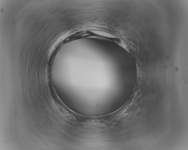 X0000070830244200607071749