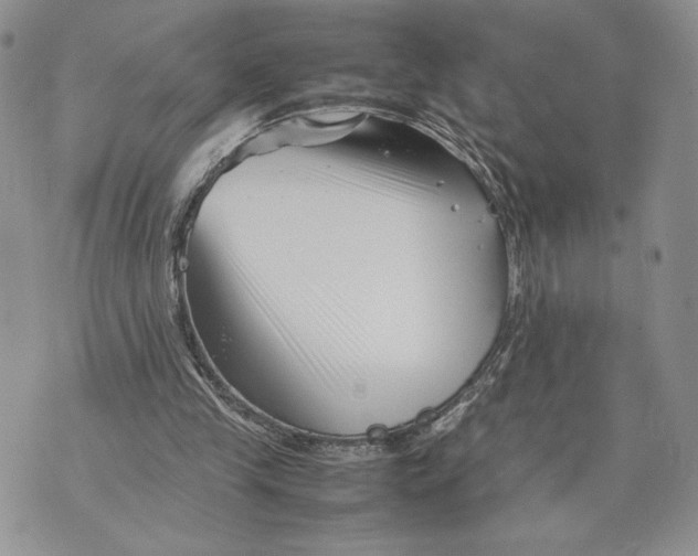 X0000070830245200607071749