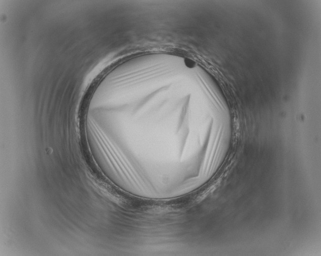 X0000070830246200607071749