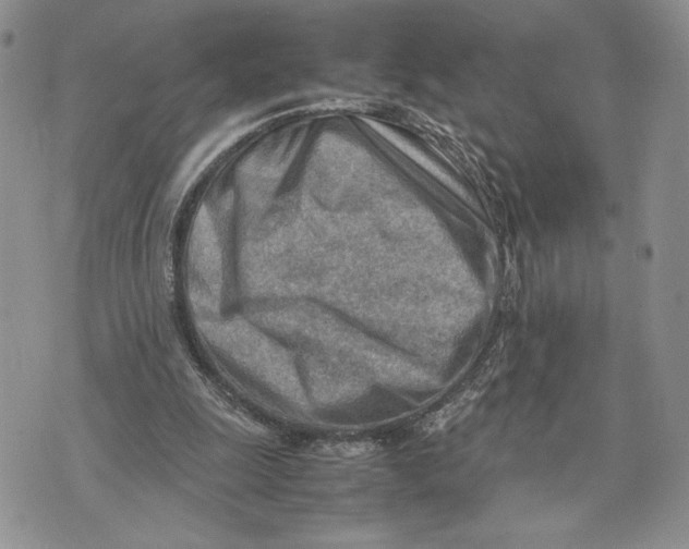 X0000070830247200607071749