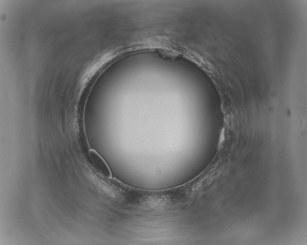 X0000070830248200607071749