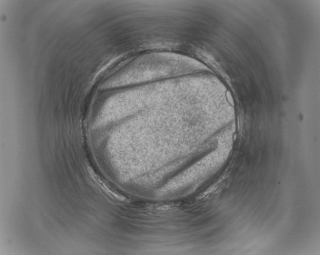 X0000070830249200607071749