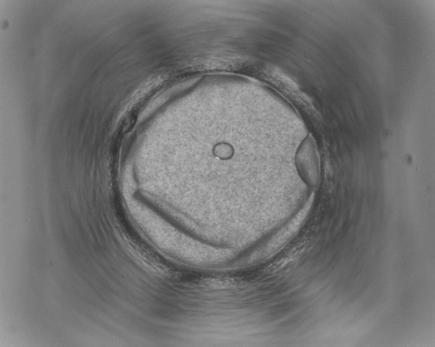 X0000070830250200607071749