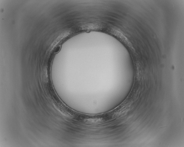 X0000070830251200607071749