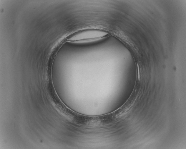 X0000070830252200607071749