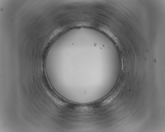 X0000070830253200607071749