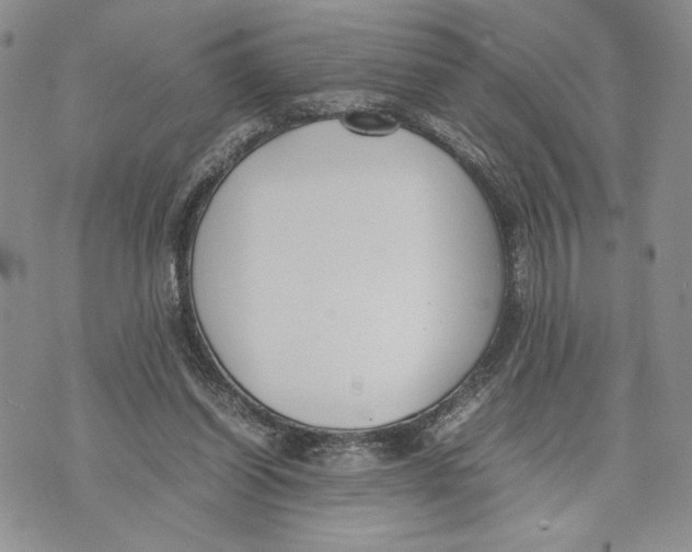 X0000070830254200607071749