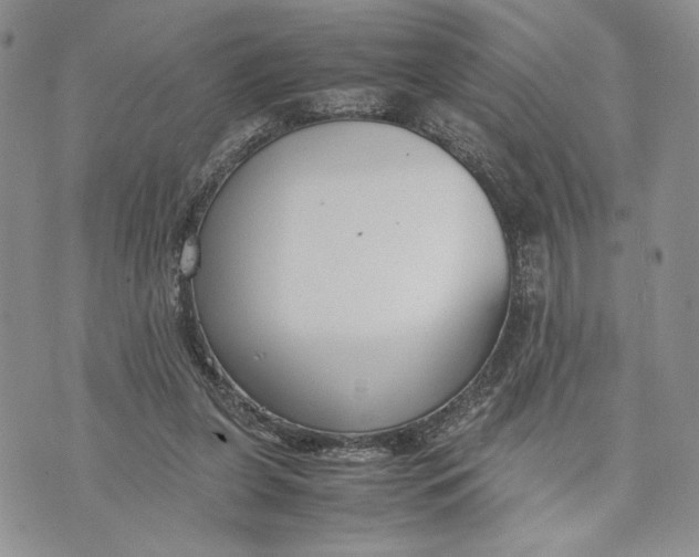 X0000070830255200607071749