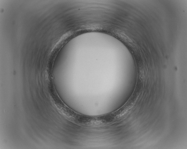 X0000070830256200607071749