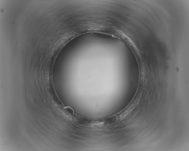 X0000070830257200607071749