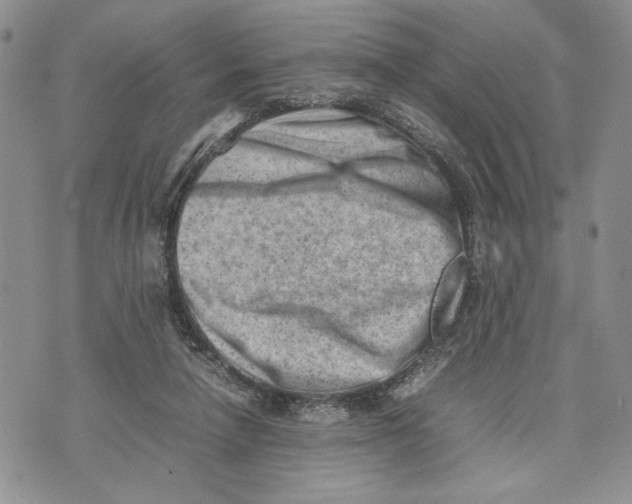 X0000070830258200607071749