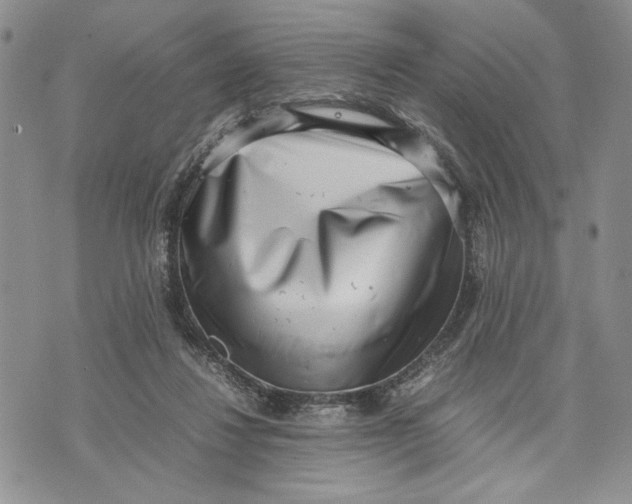 X0000070830260200607071749