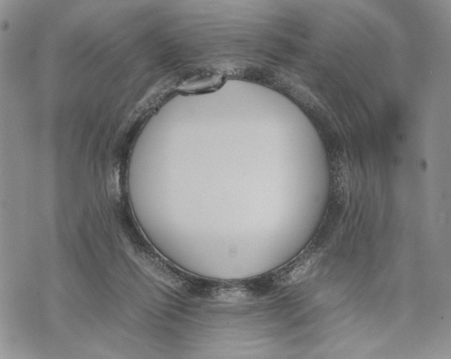 X0000070830262200607071749