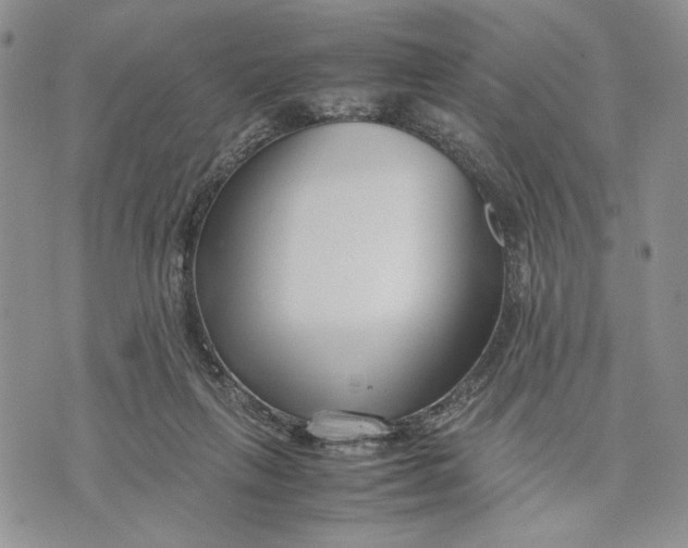 X0000070830263200607071749